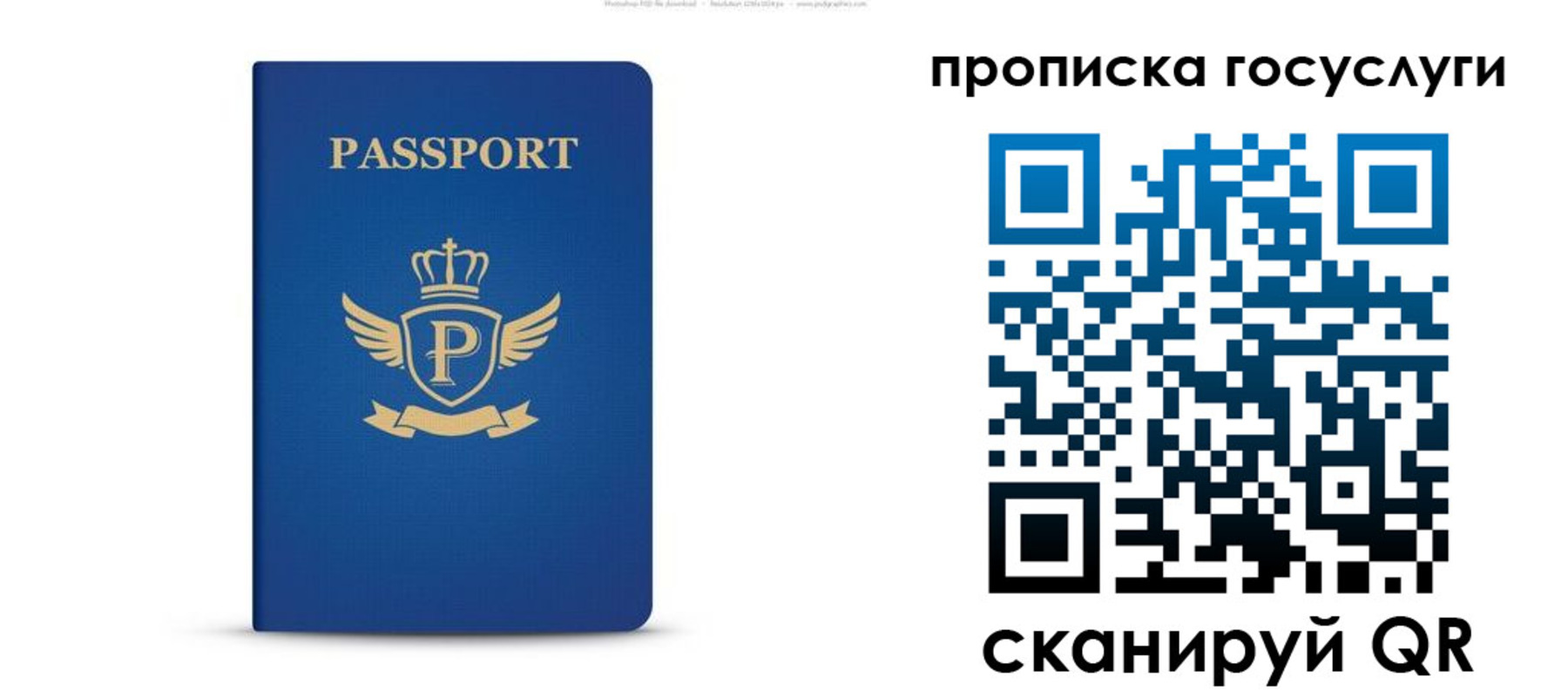 прописка для школы в Приморско-Ахтарске